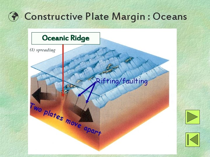  Constructive Plate Margin : Oceans Oceanic Ridge Magma thrusts up Rifting/faulting Tw o