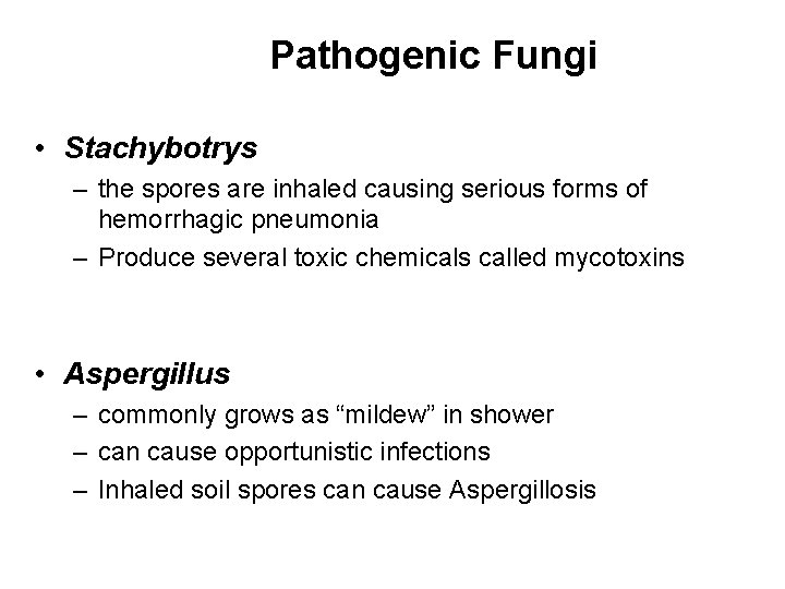 Pathogenic Fungi • Stachybotrys – the spores are inhaled causing serious forms of hemorrhagic