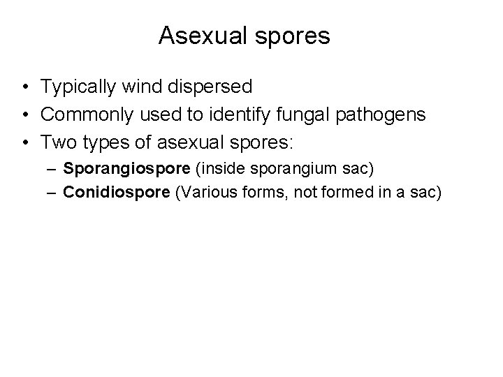 Asexual spores • Typically wind dispersed • Commonly used to identify fungal pathogens •