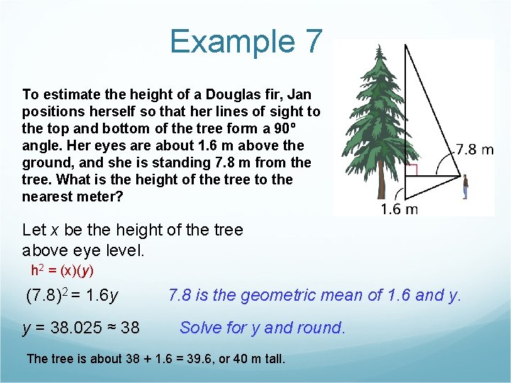 Example 7 To estimate the height of a Douglas fir, Jan positions herself so Example 7 To estimate the height of a Douglas fir, Jan positions herself so