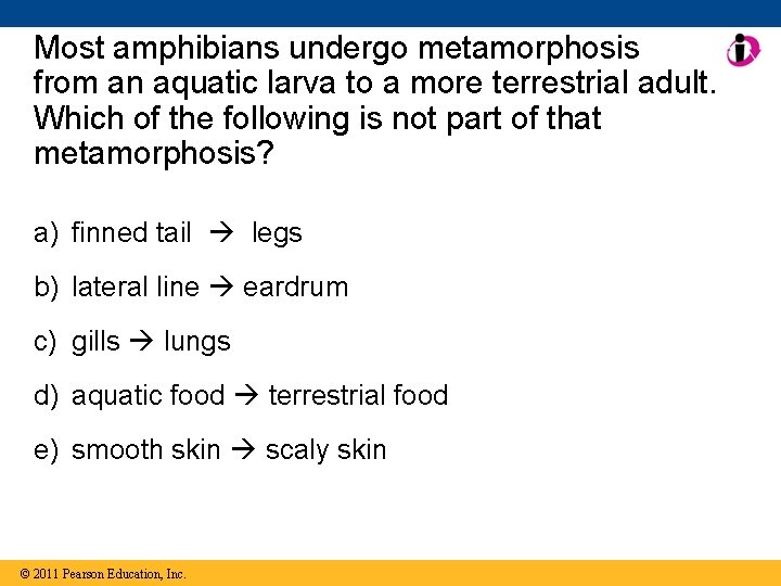 Most amphibians undergo metamorphosis from an aquatic larva to a more terrestrial adult. Which