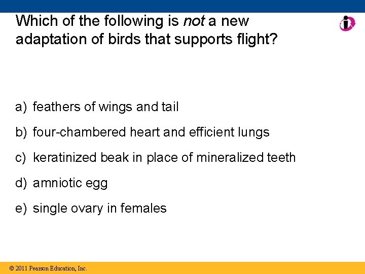 Which of the following is not a new adaptation of birds that supports flight?
