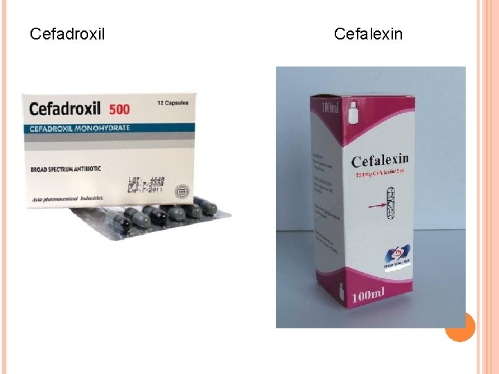 Cefadroxil Cefalexin 