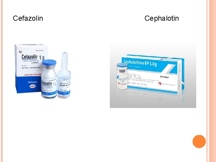 Cefazolin Cephalotin 