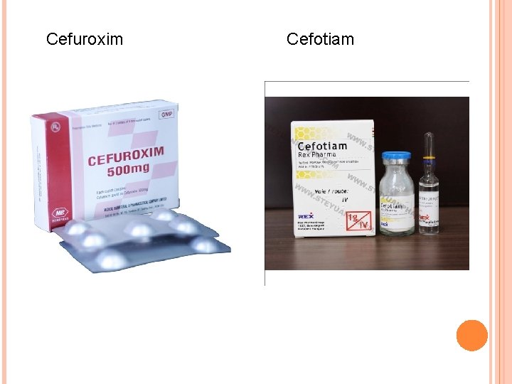 Cefuroxim Cefotiam 