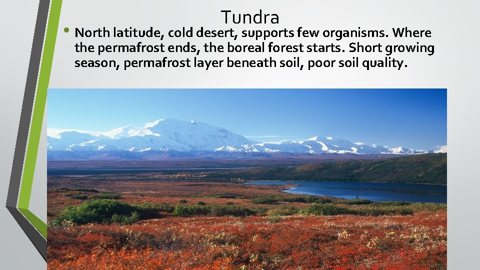 Tundra • North latitude, cold desert, supports few organisms. Where the permafrost ends, the