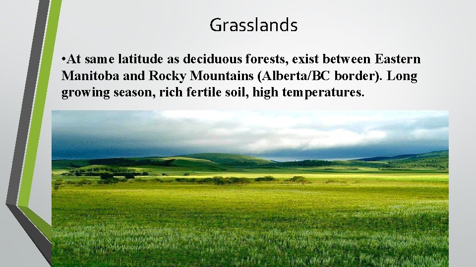 Grasslands • At same latitude as deciduous forests, exist between Eastern Manitoba and Rocky