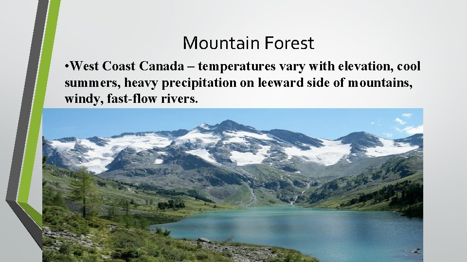 Mountain Forest • West Coast Canada – temperatures vary with elevation, cool summers, heavy