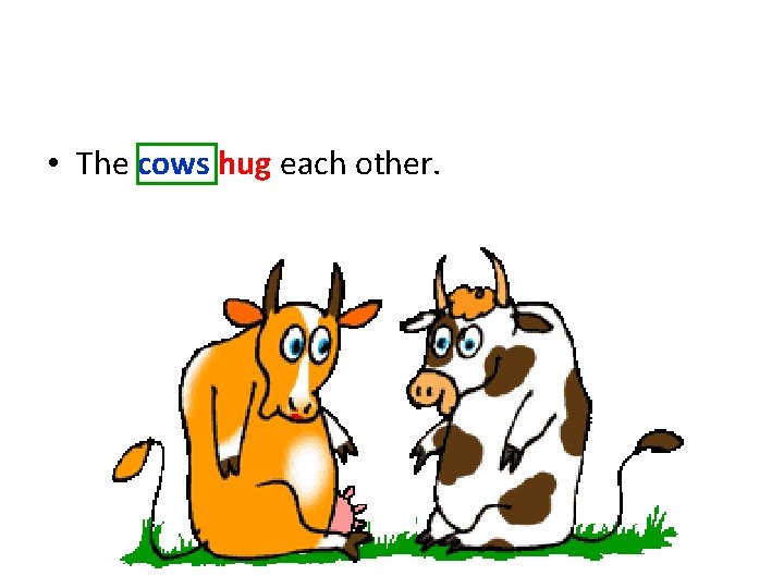  • The cows hug each other. 