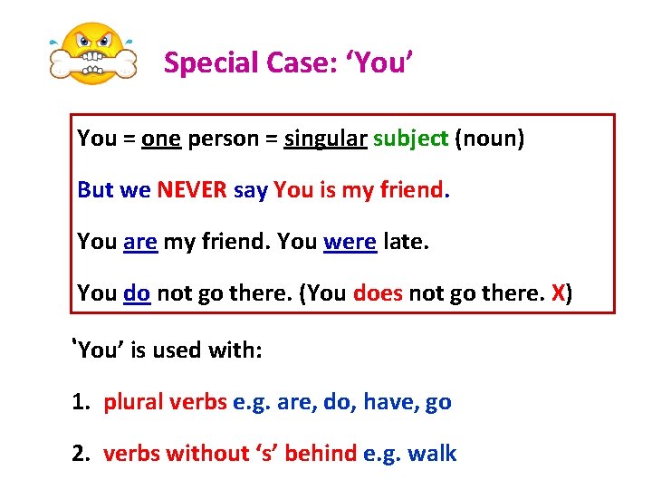Special Case: ‘You’ You = one person = singular subject (noun) But we NEVER
