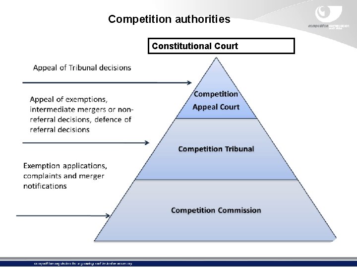 Competition authorities Constitutional Court 