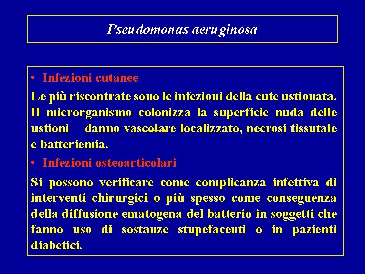 Pseudomonas aeruginosa • Infezioni cutanee Le più riscontrate sono le infezioni della cute ustionata.
