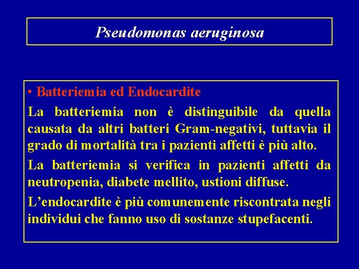 Pseudomonas aeruginosa • Batteriemia ed Endocardite La batteriemia non è distinguibile da quella causata