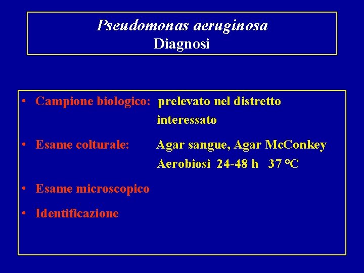 Pseudomonas aeruginosa Diagnosi • Campione biologico: prelevato nel distretto interessato • Esame colturale: •