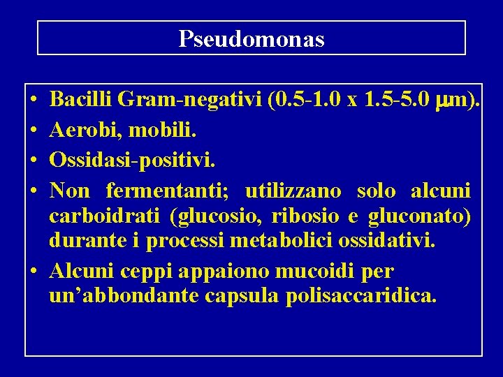 Pseudomonas Bacilli Gram-negativi (0. 5 -1. 0 x 1. 5 -5. 0 m). Aerobi,