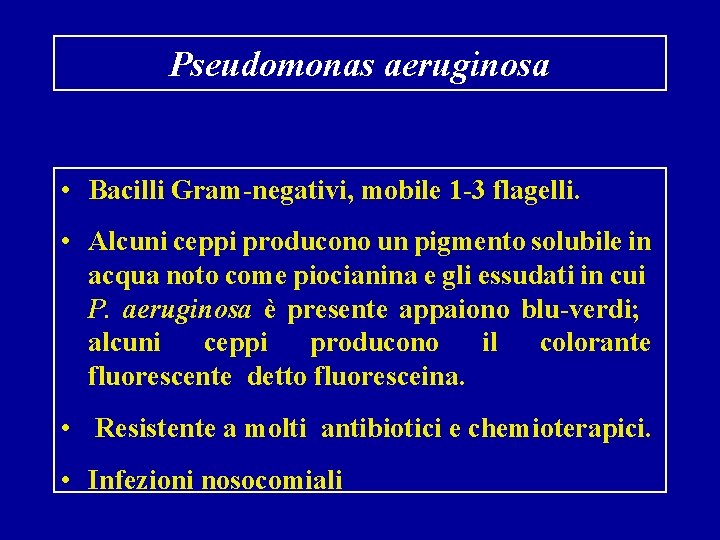 Pseudomonas aeruginosa • Bacilli Gram-negativi, mobile 1 -3 flagelli. • Alcuni ceppi producono un