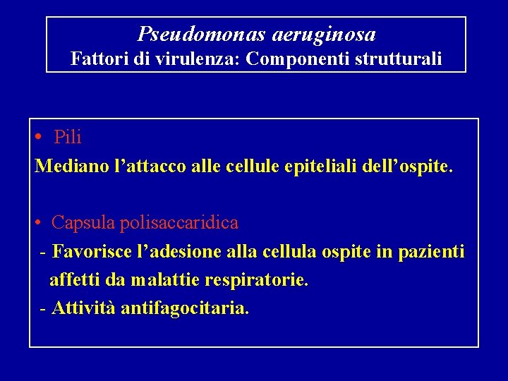 Pseudomonas aeruginosa Fattori di virulenza: Componenti strutturali • Pili Mediano l’attacco alle cellule epiteliali