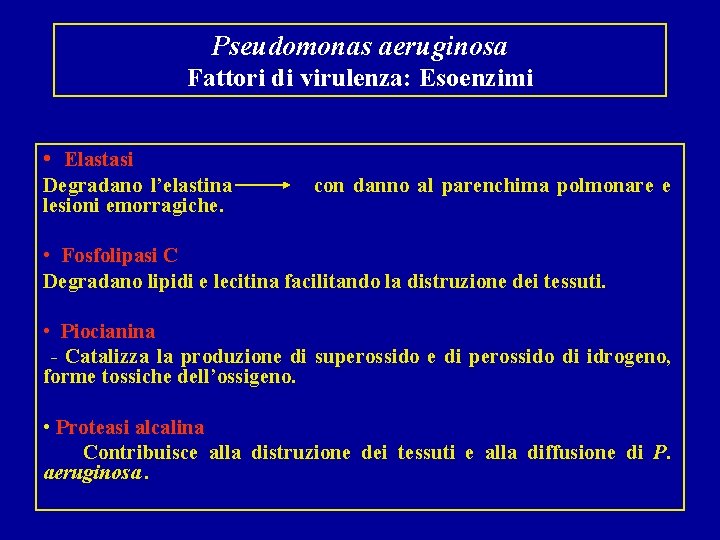 Pseudomonas aeruginosa Fattori di virulenza: Esoenzimi • Elastasi Degradano l’elastina lesioni emorragiche. con danno