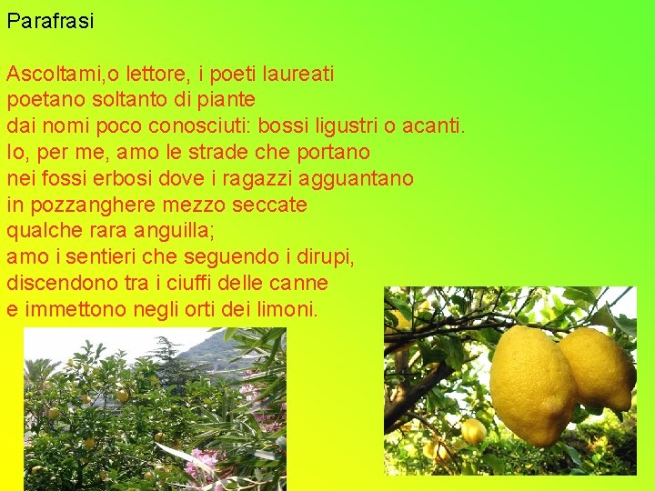 Parafrasi Ascoltami, o lettore, i poeti laureati poetano soltanto di piante dai nomi poco Parafrasi Ascoltami, o lettore, i poeti laureati poetano soltanto di piante dai nomi poco