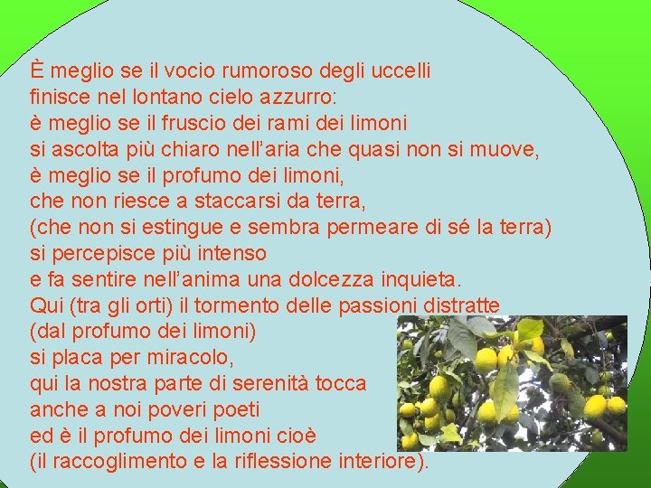 È meglio se il vocio rumoroso degli uccelli finisce nel lontano cielo azzurro: è È meglio se il vocio rumoroso degli uccelli finisce nel lontano cielo azzurro: è