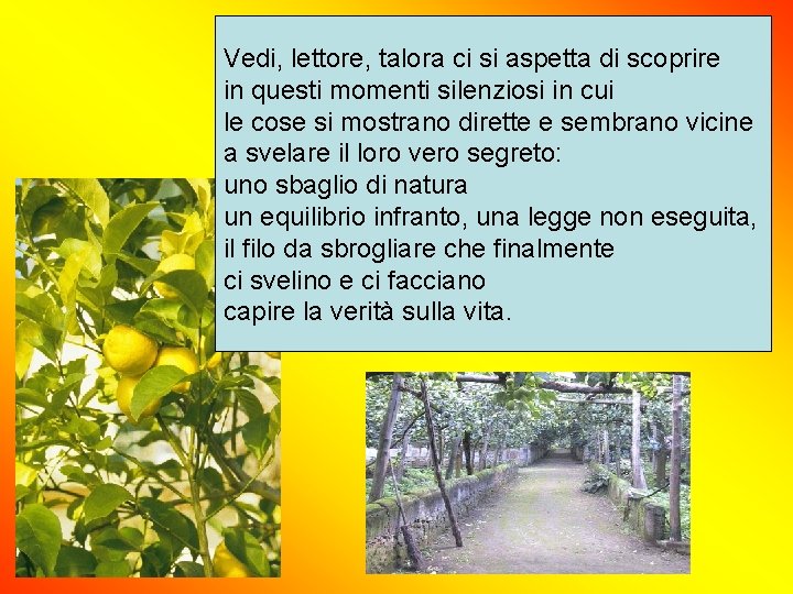 Vedi, lettore, talora ci si aspetta di scoprire in questi momenti silenziosi in cui Vedi, lettore, talora ci si aspetta di scoprire in questi momenti silenziosi in cui