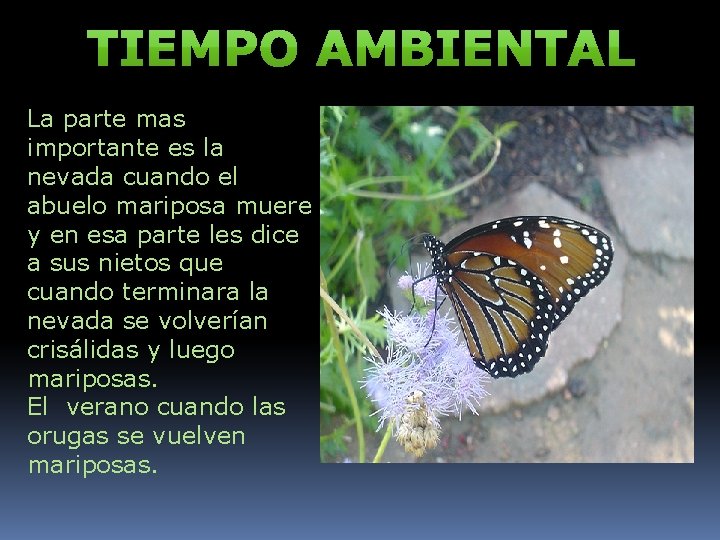 La parte mas importante es la nevada cuando el abuelo mariposa muere y en