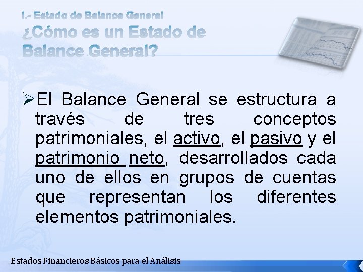 I. - Estado de Balance General ¿Cómo es un Estado de Balance General? ØEl