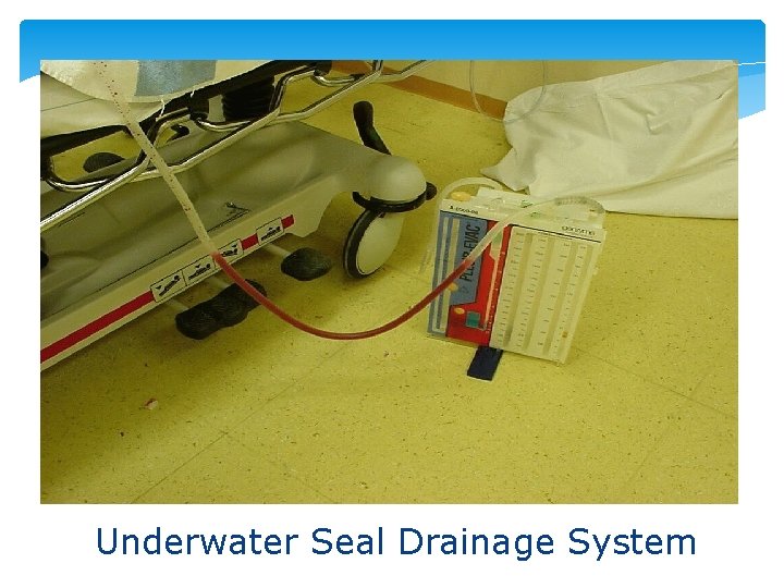 Underwater Seal Drainage System 