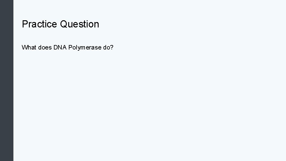 Practice Question What does DNA Polymerase do? 