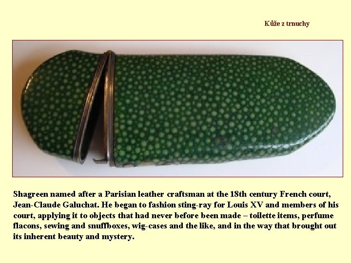 Kůže z trnuchy Shagreen named after a Parisian leather craftsman at the 18 th