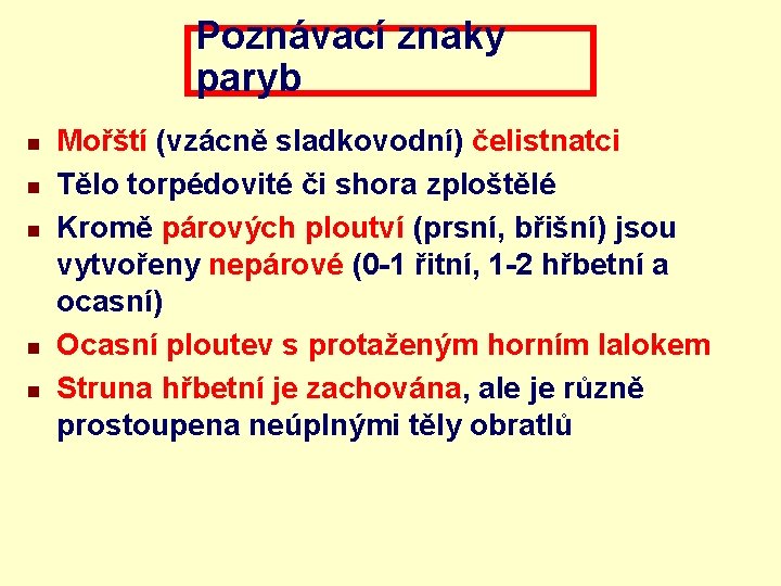 Poznávací znaky paryb n n n Mořští (vzácně sladkovodní) čelistnatci Tělo torpédovité či shora