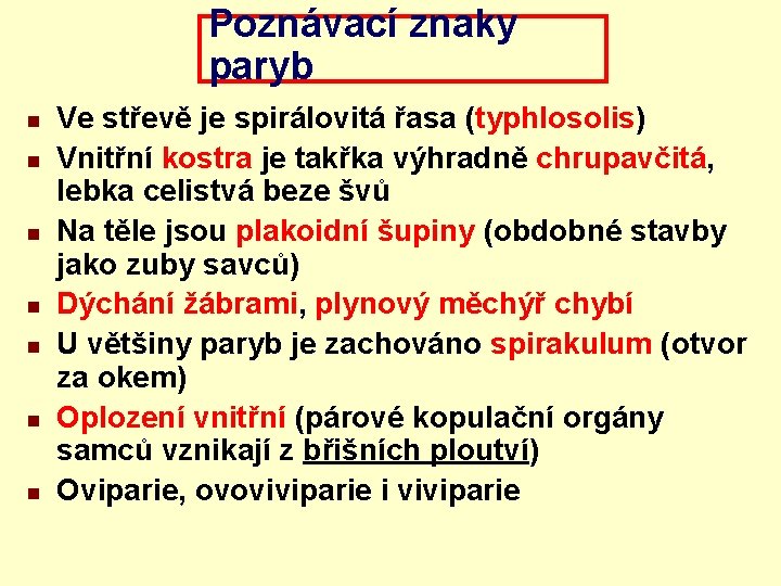 Poznávací znaky paryb n n n n Ve střevě je spirálovitá řasa (typhlosolis) Vnitřní