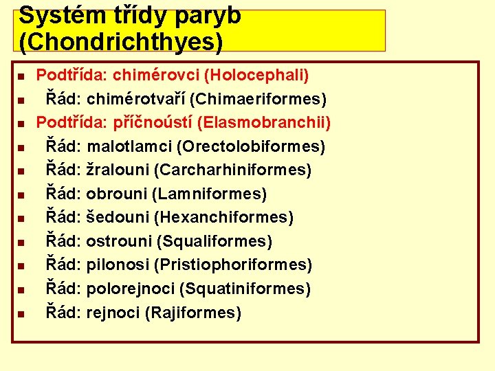 Systém třídy paryb (Chondrichthyes) n n n Podtřída: chimérovci (Holocephali) Řád: chimérotvaří (Chimaeriformes) Podtřída: