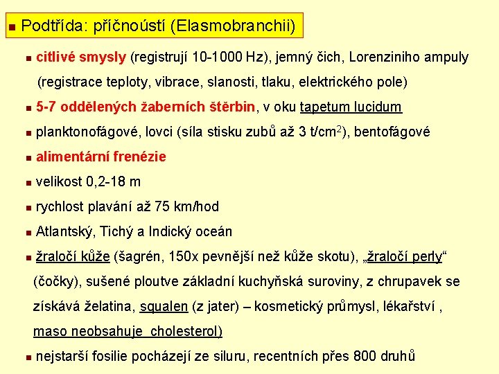 n Podtřída: příčnoústí (Elasmobranchii) n citlivé smysly (registrují 10 -1000 Hz), jemný čich, Lorenziniho