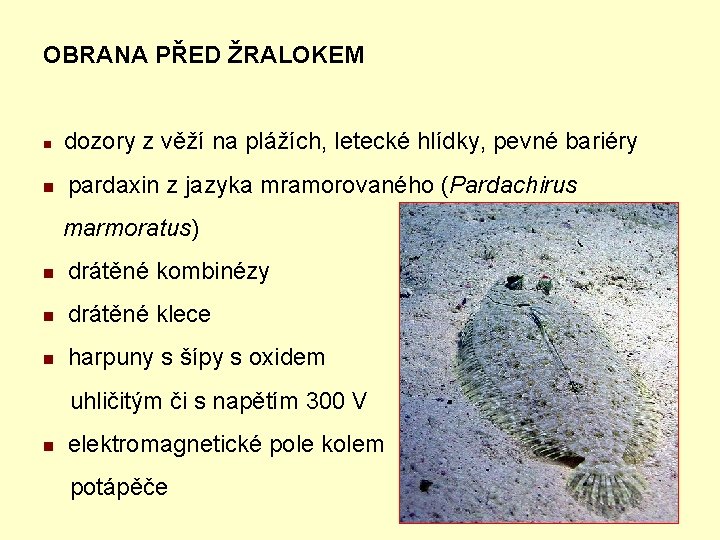 OBRANA PŘED ŽRALOKEM n n dozory z věží na plážích, letecké hlídky, pevné bariéry
