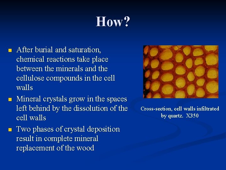 How? n n n After burial and saturation, chemical reactions take place between the