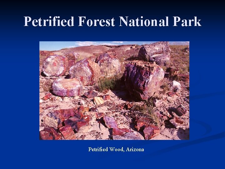 Petrified Forest National Park Petrified Wood, Arizona 
