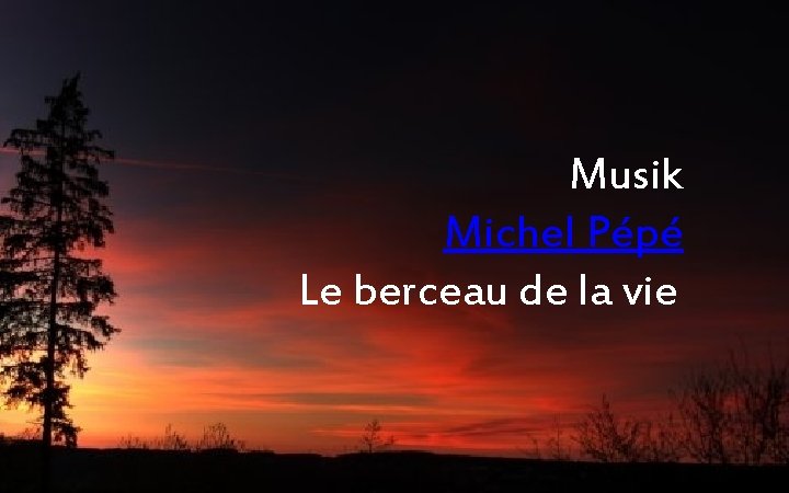 Musik Michel Pépé Le berceau de la vie 