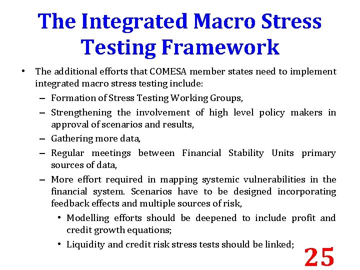 The Integrated Macro Stress Testing Framework • The additional efforts that COMESA member states