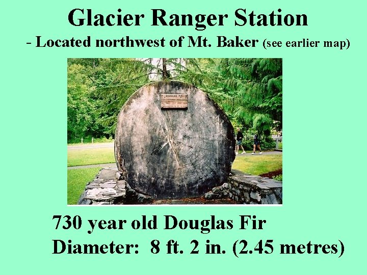 Glacier Ranger Station - Located northwest of Mt. Baker (see earlier map) 730 year