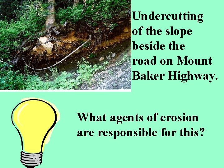 Undercutting of the slope beside the road on Mount Baker Highway. What agents of