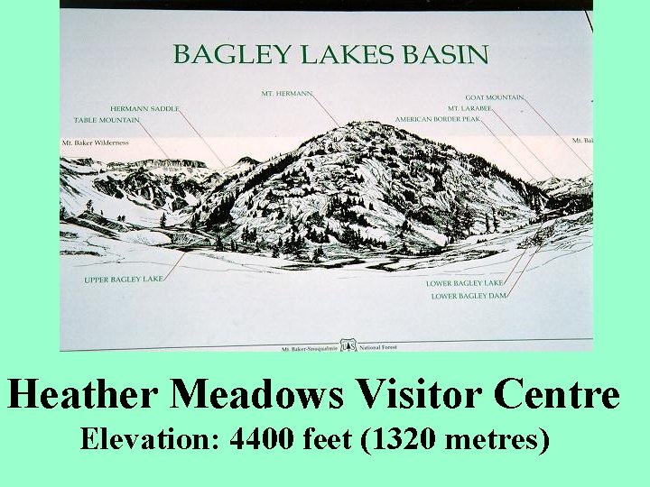 Heather Meadows Visitor Centre Elevation: 4400 feet (1320 metres) 