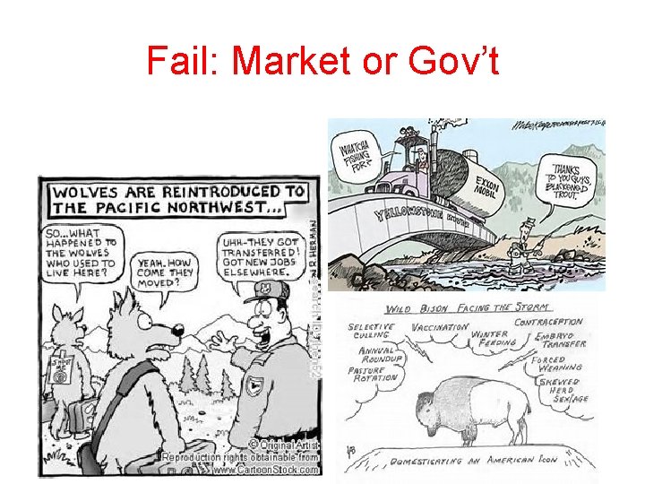 Fail: Market or Gov’t 