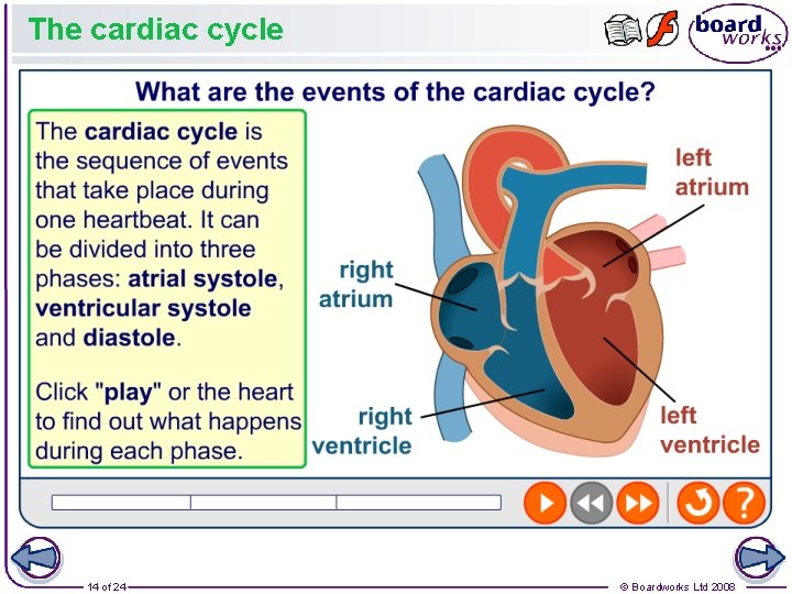 The cardiac cycle 14 of 24 © Boardworks Ltd 2008 