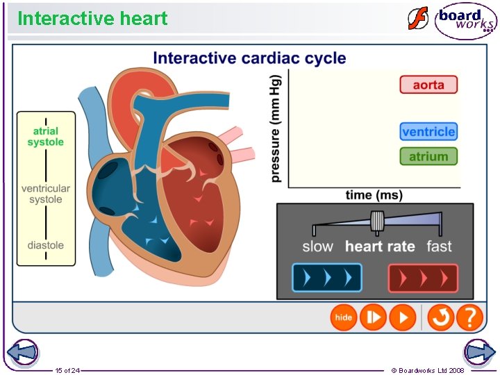Interactive heart 15 of 24 © Boardworks Ltd 2008 