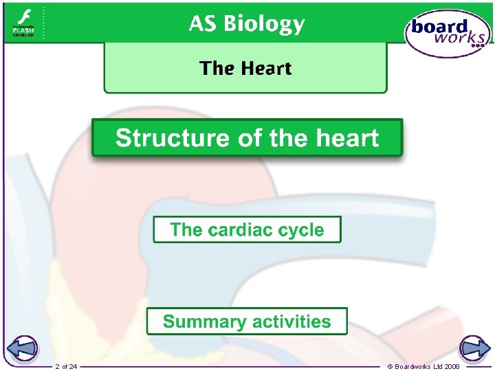 2 of 24 © Boardworks Ltd 2008 