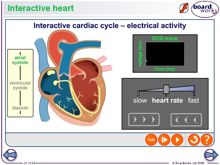 Interactive heart 21 of 24 © Boardworks Ltd 2008 