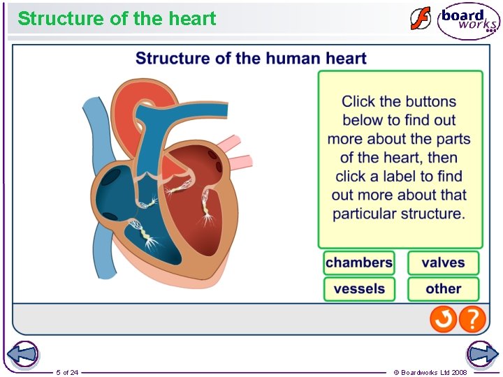 Structure of the heart 5 of 24 © Boardworks Ltd 2008 