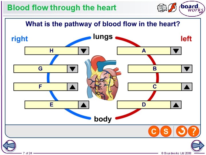Blood flow through the heart 7 of 24 © Boardworks Ltd 2008 