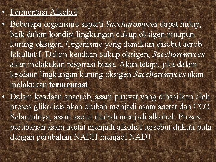  • Fermentasi Alkohol • Beberapa organisme seperti Saccharomyces dapat hidup, baik dalam kondisi